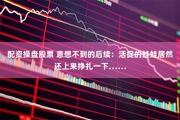 配资操盘股票 意想不到的后续：活捉的蛙蛙居然还上来挣扎一下……